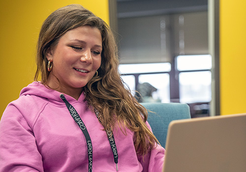 Female student looking at her laptop